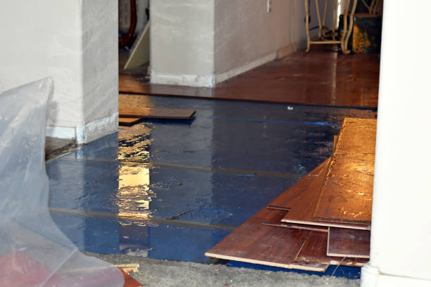 Professional Sewage Cleanup technician working in Century, FL